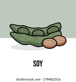 Soy beans organic healthy vegetarian food. Vector flat illustration. Natural product. Soybean pod on green and white background with shadow. Label for packaging design.