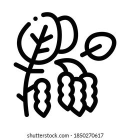 soy beans plant icon vector. soy beans plant sign. isolated contour symbol illustration