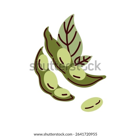 Soy beans in pods and leaf. Green soya legume vegetable. Asian soybean, vegan protein food ingredient. Healthy vegetarian diet. Natural nutrition. Flat vector illustration isolated on white background