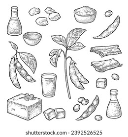 Soy food set. Miso, tofu, skin, soybean, oil, milk, chunks, sauce in a bottle and bowl. Vector black vintage engraving illustration and handwriting lettering for menu, label. Isolated on white