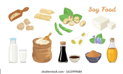 Soy food set. Soybeans and pods, tofu, scoop with beans, soy meat, milk in  bottle and glass, sauce, miso paste, oil, bag of flour, tofu skin, soy sprouts and flower. Vector cartoon flat illustration.