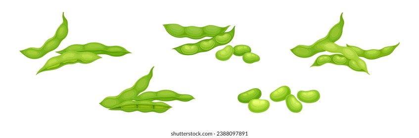 Soy Grain Legume or Pulse Crop with Green Pod and Beans Vector Set