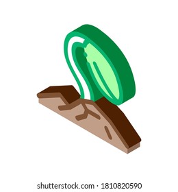 soy growth icon vector. isometric soy growth sign. color isolated symbol illustration