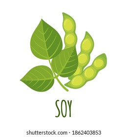 Soy icon in flat style isolated on white background. Vector Illustrations. Soy beans plant illustration.