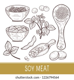 Soy meat. Plant. Bowl, spoon with pieces, tofu. Soybeans,  pod. Sketch. Monophonic. Set.