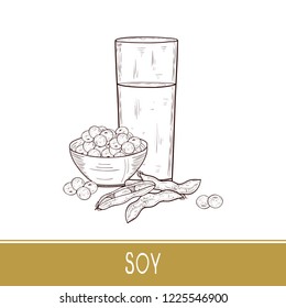 Soy. Milk, pod, soya beans. Glass, bowl. Sketch. Monophonic.