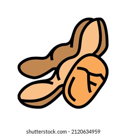 soy nut color icon vector. soy nut sign. isolated symbol illustration