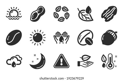 Soy nut, Organic tested and Coffee beans icons simple set. Leaf dew, Safe water and Rainy weather signs. Peanut, Thermometer and Sunset symbols. Sun energy, Leaf and Acorn. Flat icons set. Vector