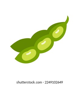 Soy plant beans and pods. Raw soy. Legume green pod. Vector illustration isolated on white background.