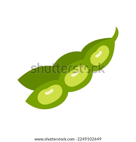 Soy plant beans and pods. Raw soy. Legume green pod. Vector illustration isolated on white background.