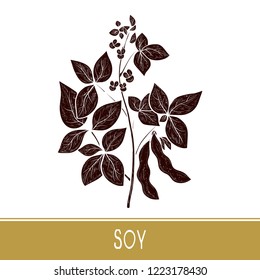 Soy. Plant Leaves, Flower, Branch, Pod.  Black Silhouette On White Background.