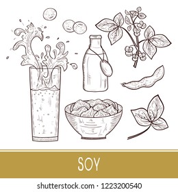 Soy. Plant. Leaves, flower. Milk, cream, sauce, bottle, bowl, fruit. Sketch. Set. Monophonic.