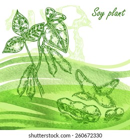 Soy plant set. Hand drawn soy beans on watercolor background 