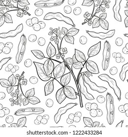 Soy. Plant. Stem, flower, leaf, fruit, pod. Monophonic. Background, wallpaper, seamless, texture. Sketch.