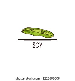 Soy. Pod. Text. Sketch. Logo, emblem, icon. Color.