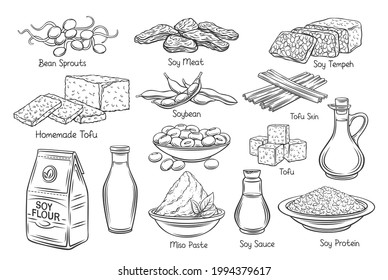 Soy product outline vector icons. Drawn monochrome soy sprouts, tofu skin, coagulated soy milk, soybean, tempeh, miso, flour and ets.