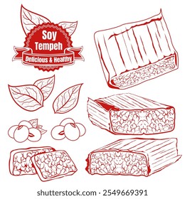 SOY PRODUCTS - TEMPEH. Indonesian traditional unique food made from fermented soy beana, healthy, delicious and nutritious food product