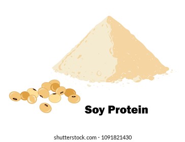 Soy Protein Powder And Soybeans Vector Illustration. Bodybuilding Supplement Concept.