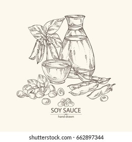 Soy sauce: a bottle of soybean, a bowl of soy sauce, soya beans and soybean plant. Vector hand drawn illustration