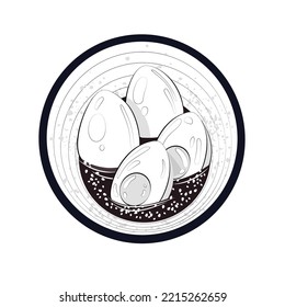Soy Sauce Eggs (Shoyu Tamago).  Japanese cuisine dish. Vector illustration