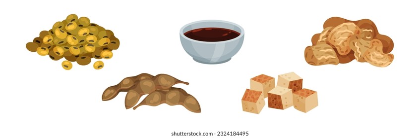 Soy Sauce, Green Bean, Pod and Tofu Cheese Vector Set