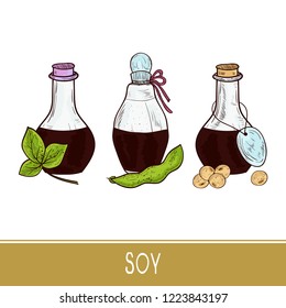 Soy. Sauce. Leaf, pod, grain, bottle. Set. Sketch. Color.
