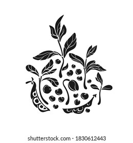Soy set. Vector plant, bean. Natural vegan food. Art illustration on white background. Healthy dietary. Group of ingredient, bio protein, organic milk