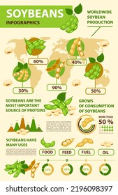 Soy And Soybean Infographics, Beans Production And Consumption Statistics Graphs, Vector. Soybean Growing, Cultivation Data And Information Diagrams Of Soy Beans In Food, Feed Or Oil Fuel Industry