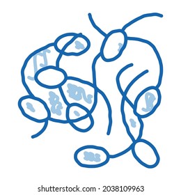 soy sprouts sketch icon vector. Hand drawn blue doodle line art soy sprouts sign. isolated symbol illustration