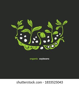 Soy vector plant, bean. Natural vegan food. Art green illustration on black background. Bio protein, organic milk. Farm fresh plantation