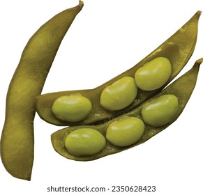 soya bean pea nuts food