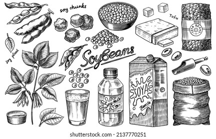 Soya beans. Milk and tofu. Soybean sketch. Pod on plant. Nuts and seeds in sack. Detailed vegetarian food and leaves drawing. hand drawn illustration for menu, label, icon or poster.