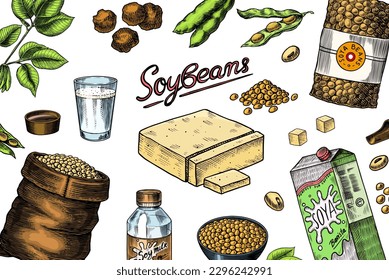 Soya beans. Milk and tofu. Soybean sketch. Pod on plant. Nuts and seeds in sack. Detailed vegetarian food and leaves drawing. hand drawn illustration for menu, label, icon or poster.