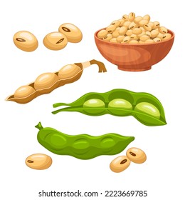 soya food bean set cartoon. soy soybean, healthy seed, natural organic, vegetarian grain, nutrition health protein, raw soya food bean vector illustration