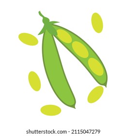 soya isolated vector, natural food ingredient