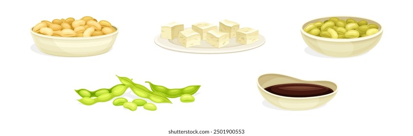 Soya Product from Edible Legume Plant Vector Set