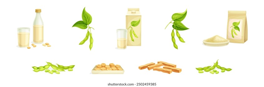 Soya Product from Edible Legume Plant Vector Set