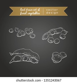 Soya. Set of fresh vegetables, whole, half and bitten with leaf. Vector illustration. Isolated on blackboard	