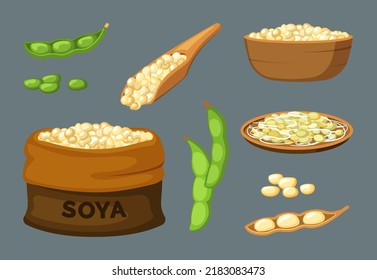 soya. vegetarian natural healthy protein food soya bean products. Vector cartoon illustration template