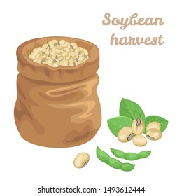 Soybean bag Isolated on white background. Green Soya pods and leaves. Vector illustration of legumes in cartoon simple flat style. Soybean harvest.