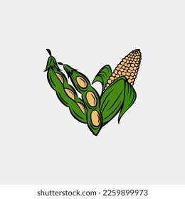 soybean and corn illustration vector