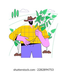 Soybean crops isolated cartoon vector illustrations. Farmer holding soybean stem, agriculture industry, agribusiness worker, processing-manufacturing sector, cultivation process vector cartoon.