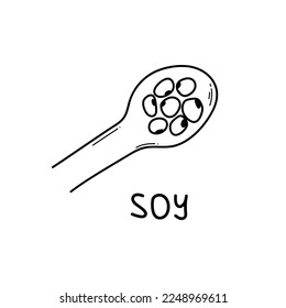 Soybean doodle in spoon. Hand drawn soy isolated on white background