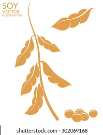 Soybean. Dried Soy Bean. Vector Illustration