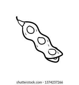 Soybean food line doodle vector