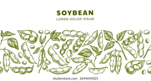 Soybean horizontal seamless background. Hand drawn sketch vector illustration of soybeans, pods, and seeds on green plant. Perfect for organic, vegetarian food packaging, print, natural product labels