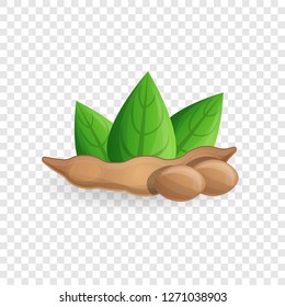 Soybean icon. Cartoon of soybean vector icon for web design for web design