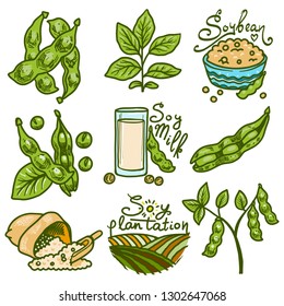 Soybean icons set. Hand drawn set of soybean vector icons for web design