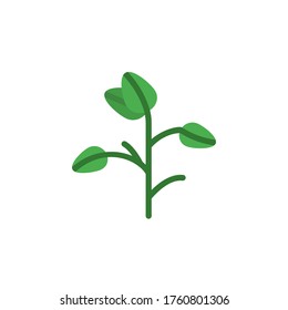 Soybean leaf icon. Simple color vector elements of botanicals icons for ui and ux, website or mobile application