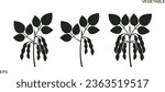 Soybean logo. Isolated soybean on white background